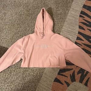 pink champion hoodie